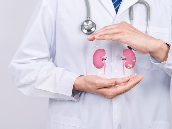 Kidney Disease Package