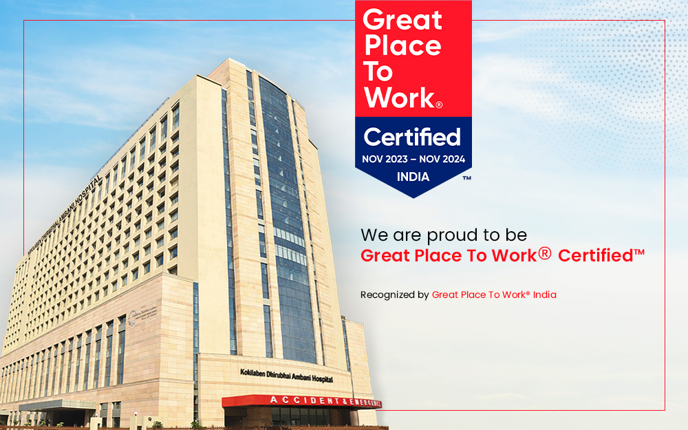 Great Place to Work Certified graphics