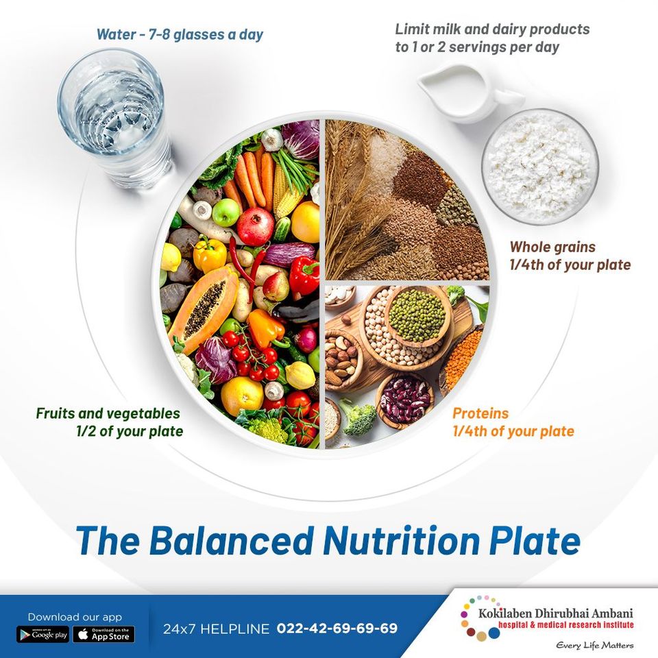 The balanced nutrition plate