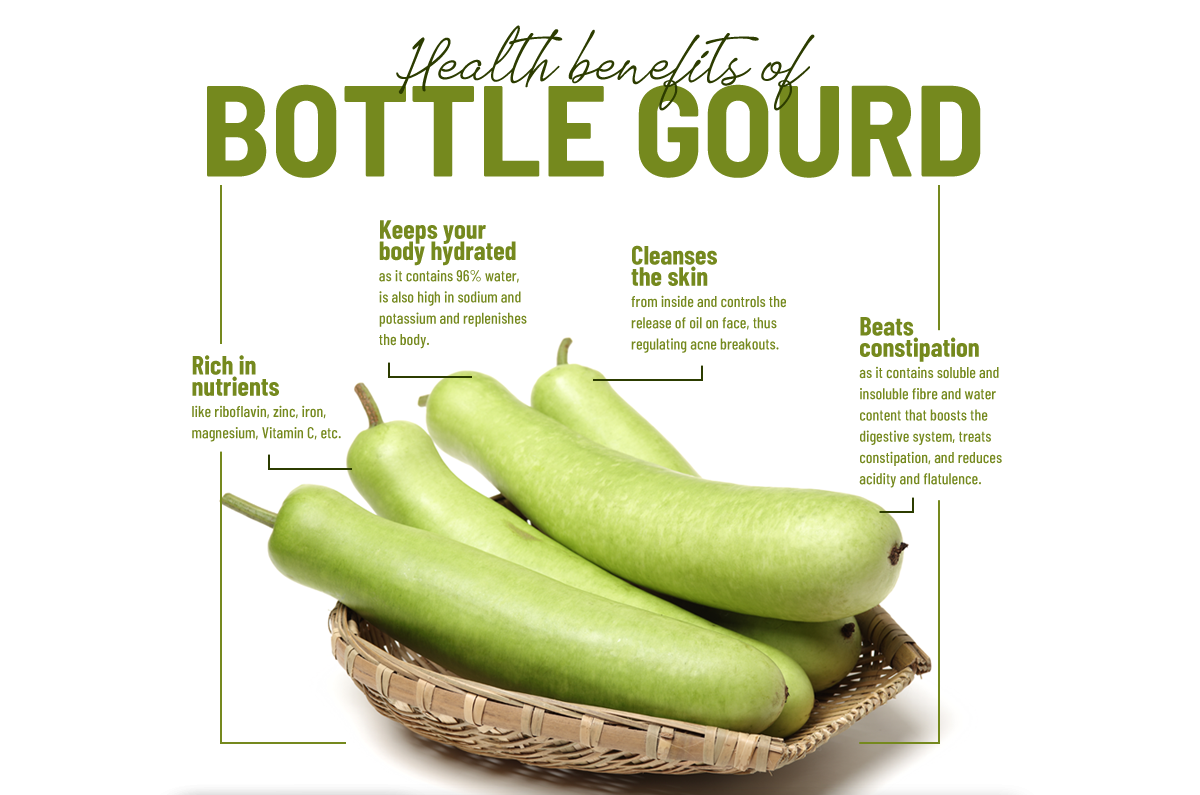 Bottle gourd 2025 health benefits