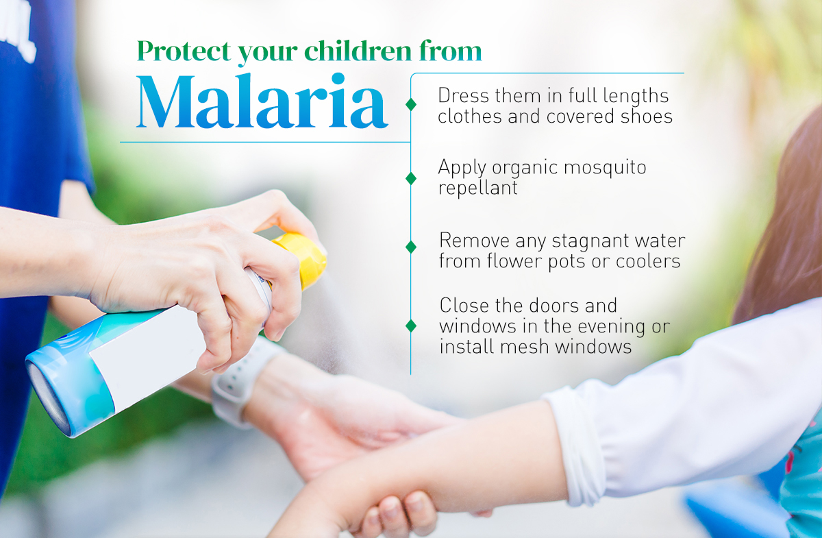 write an essay on the topic malaria
