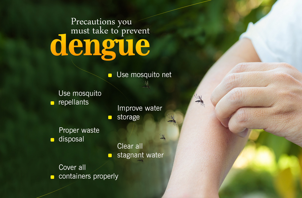 precautions-you-must-take-to-prevent-dengue