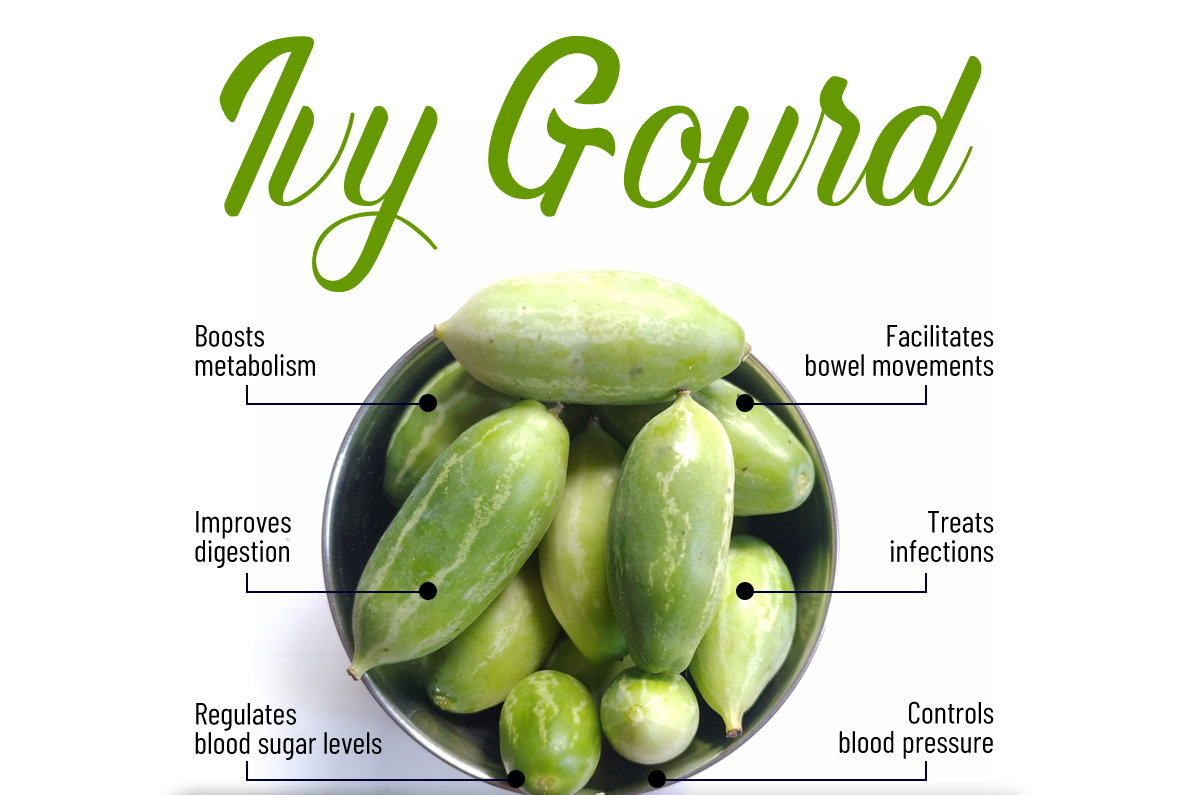 ridge-gourd-benefits