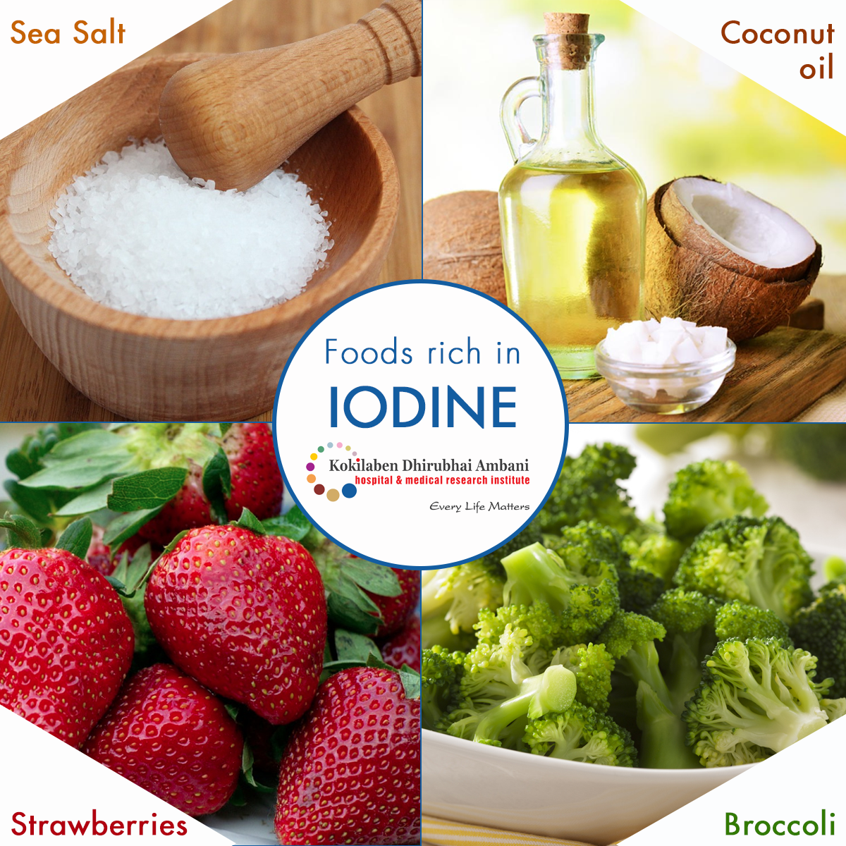 Foods rich in Iodine Health Tips from Kokilaben Hospital