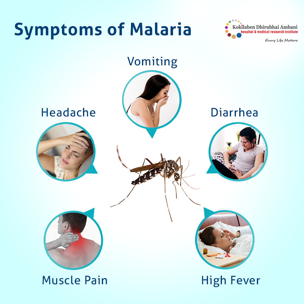 malaria disease essay