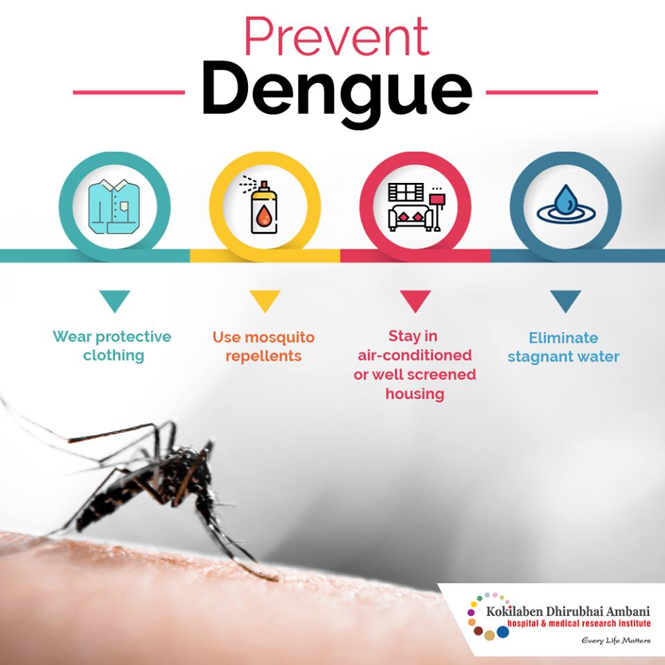 power point presentation of dengue fever