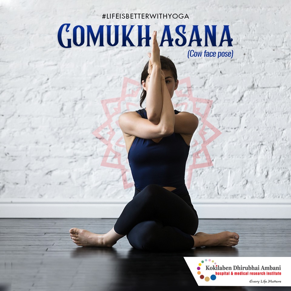 Easy Cow Face – Sukha Gomukhasana - Arhanta Yoga
