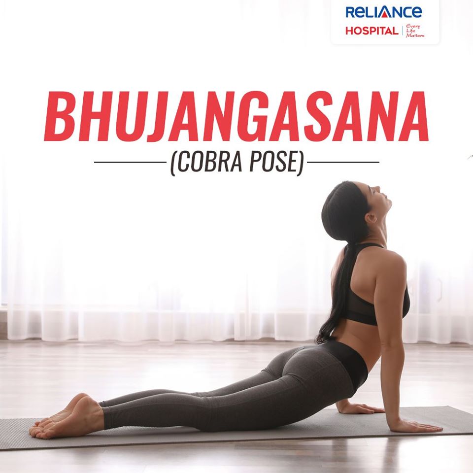 Beautiful Sporty Fit Yogini Woman Practices Yoga Asana Bhujangasana - Cobra  Pose Beginner Variation In Studio Isolated On White Stock Photo, Picture  and Royalty Free Image. Image 64803797.