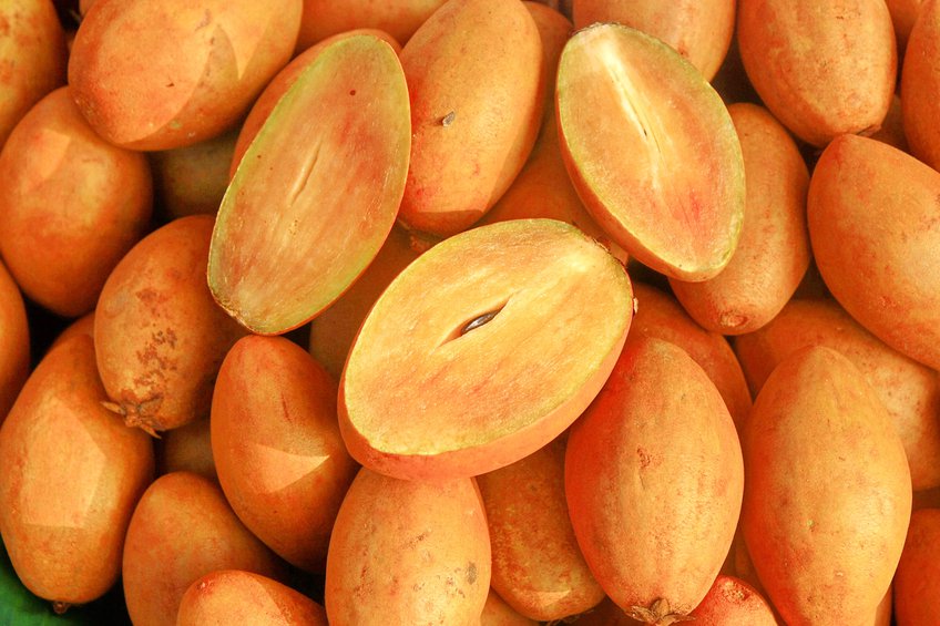 nutrients in chikoo