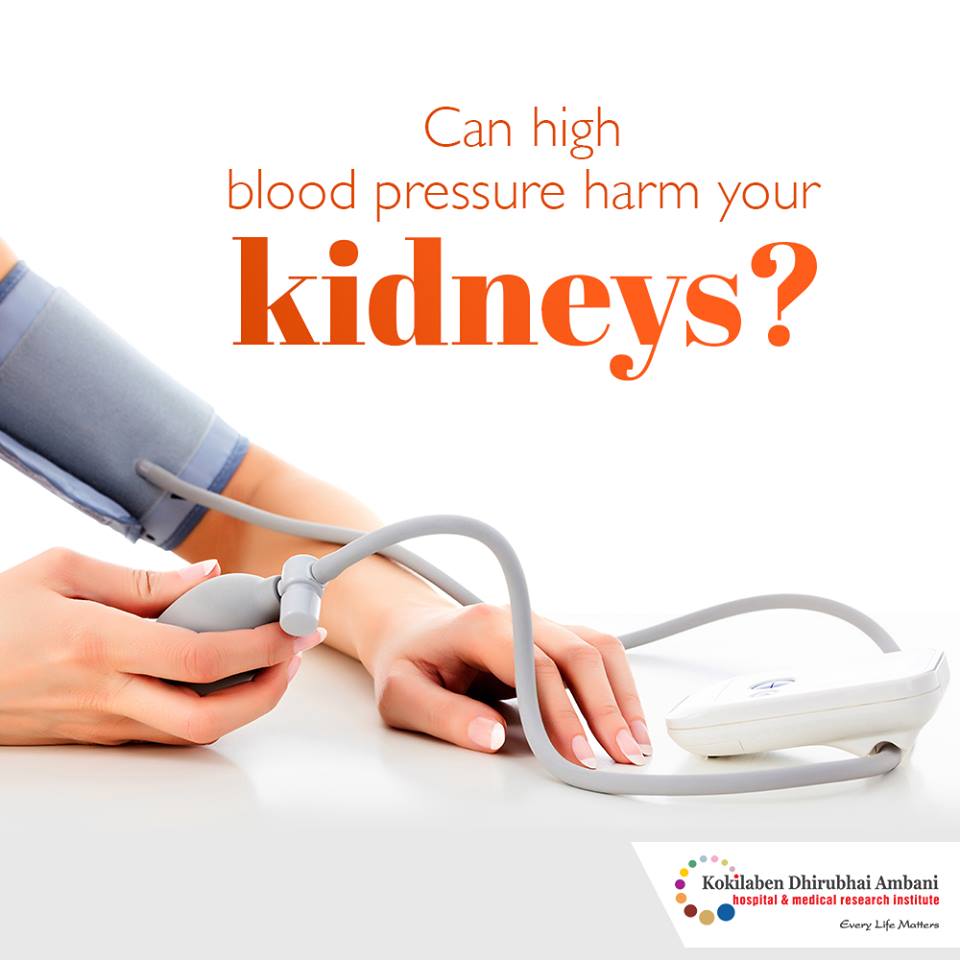 Can High Blood Pressure Harm Your Kidneys